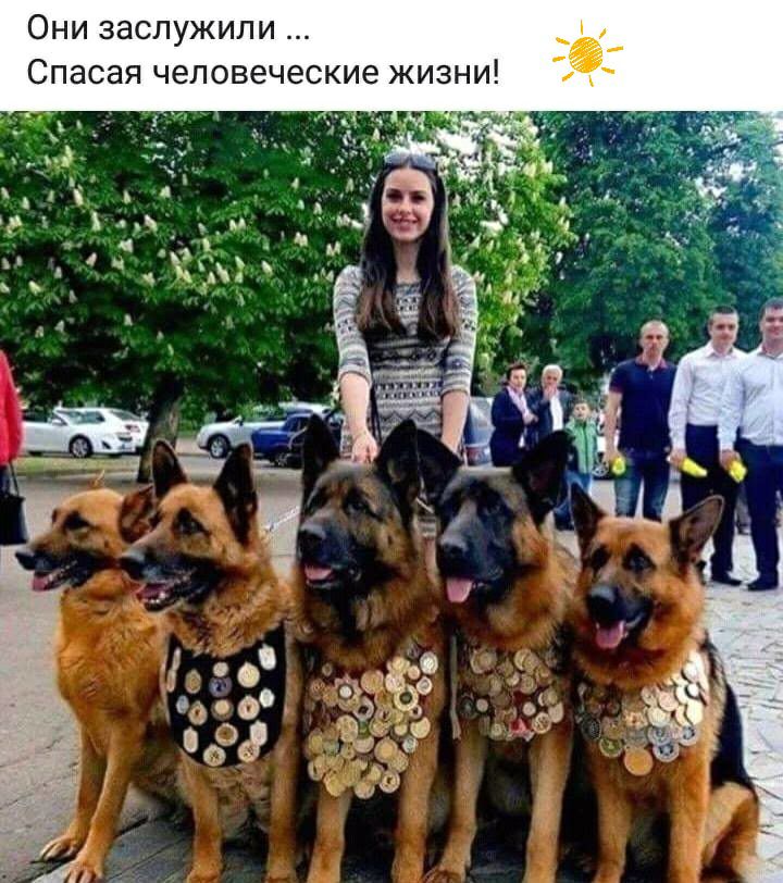 Они заслужили Спасая человеческие жизни