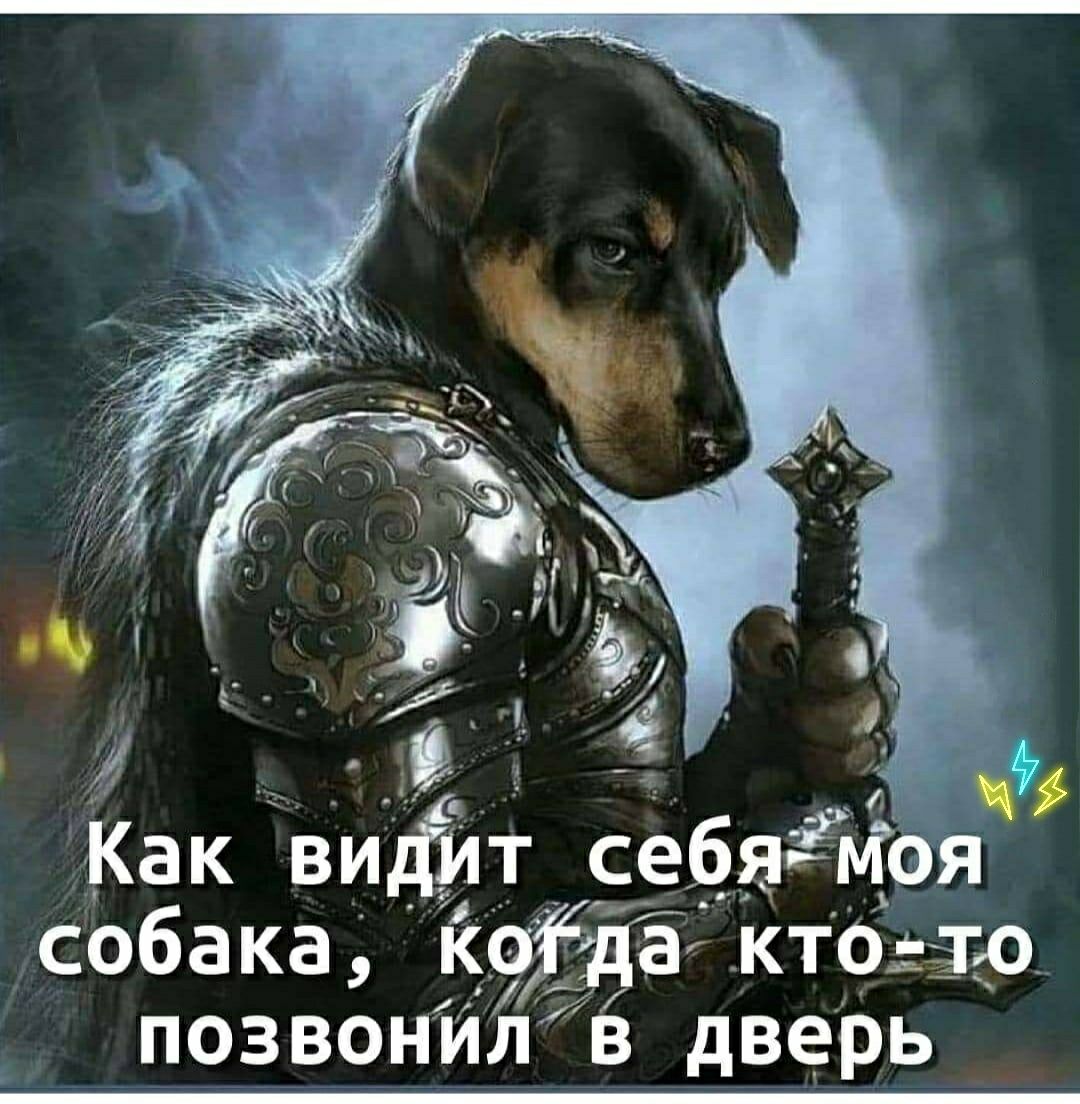 Как виіит себяЁМоя собака к9 ЁЁ ктоз р позвонил в дверь