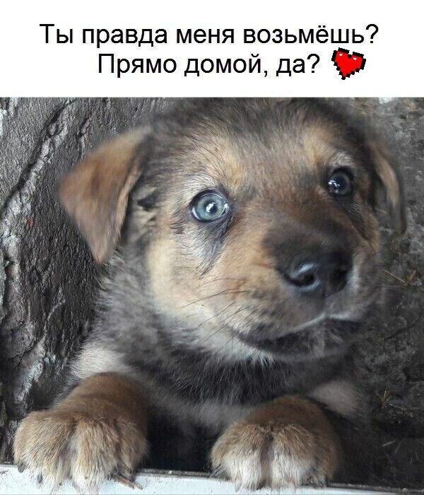 Ты правда меня возьмёшь Прямо домой да