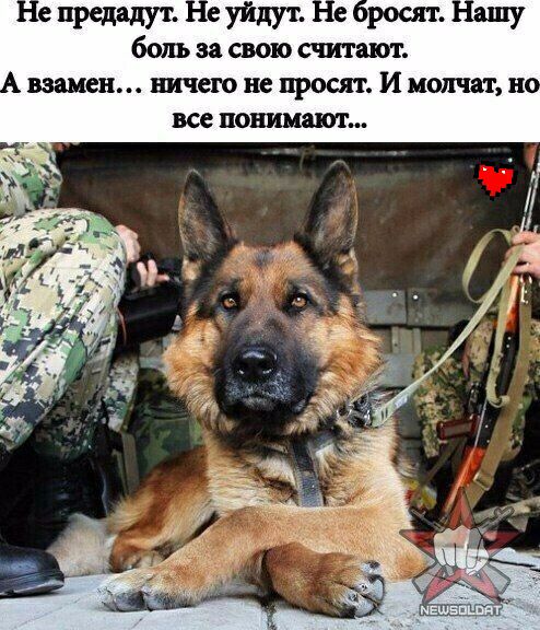 60111 за СВОЮ считаю взамен ничего не просят И молчат н все понимают
