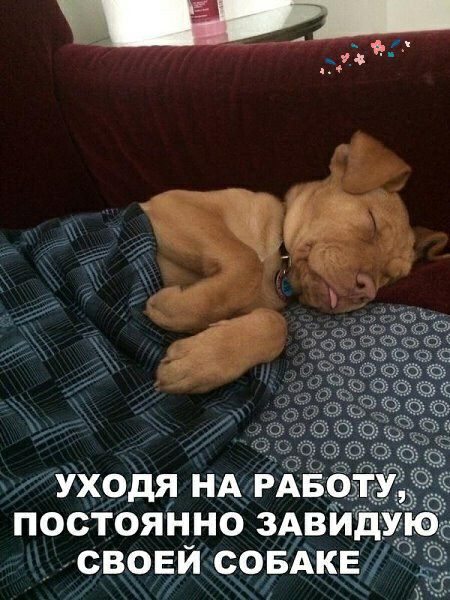 уходя НА РАВ постоянно ЗАВИд свовй совдкв