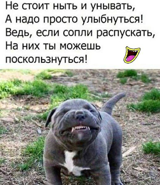 Не СГОИТ НЫТЬ И УНЫВЭТЬ А надо просго улыбнуться Ведь если сопли распускать На них ты можешь