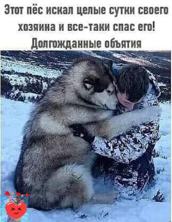 ЗПП пёс ИЕКЗЛ ЦЁЛЫЕ СУТКИ СВОЕ ХШПИНЗ И все таки спас ЕГО