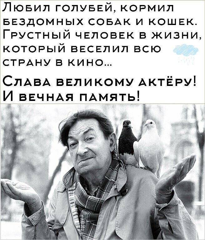 Лювил голуввй кормил БЕЗДОМНЫХ СОБАК и кошек Грустный ЧЕЛОВЕК В жизни который ввсвлил всю СТРАНУ в кино СЛАВА великому АктЁРУ И ВЕЧНАЯ ПАМЯТЬД