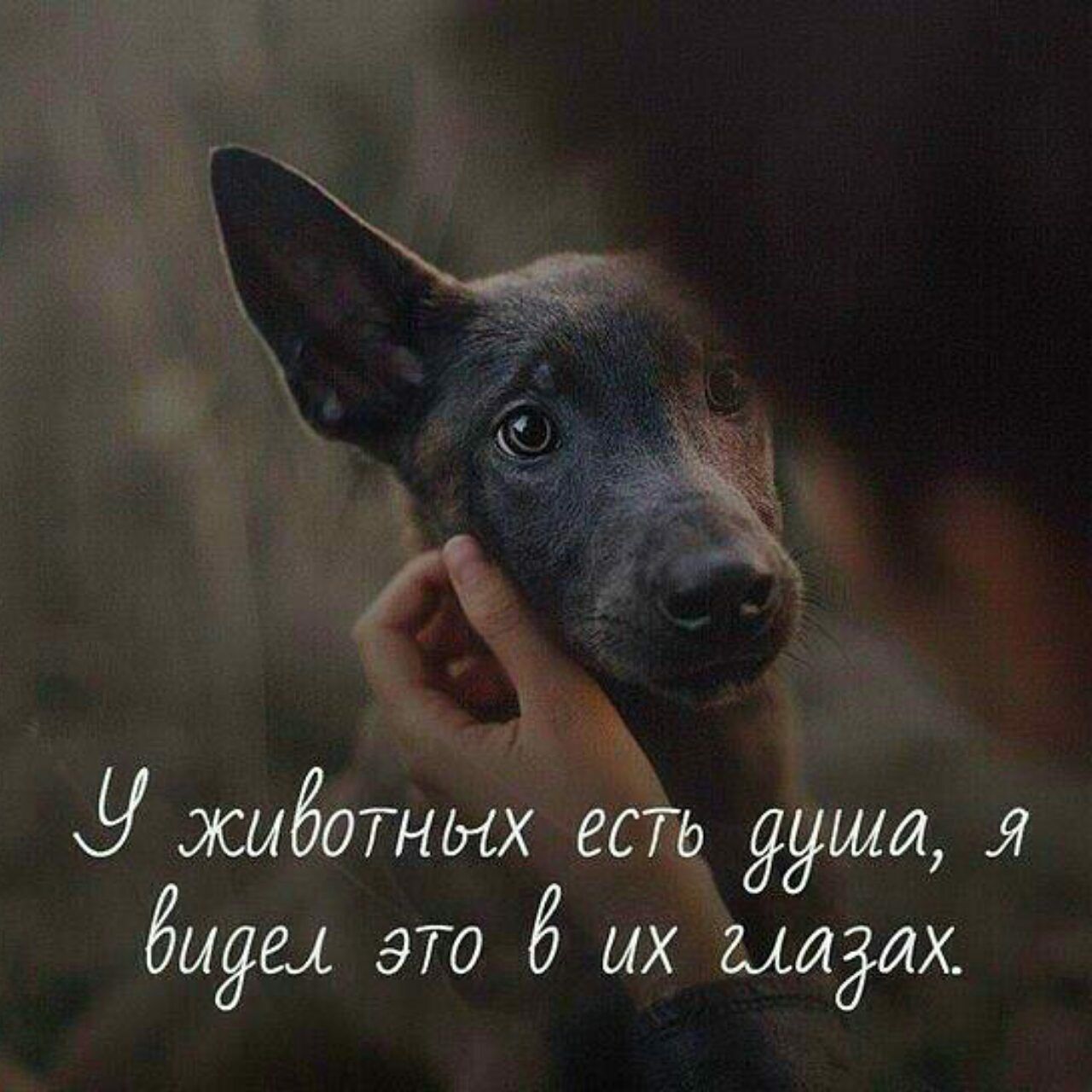 у ЭСЫЁОТНЫХ 86 9911161 Я бЫЯЁф ЭТО б МХ ЫИЁИХ