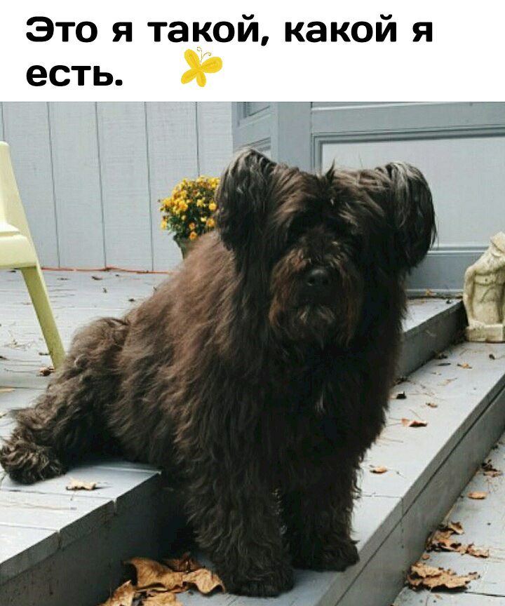 Это я такой какой я есть А