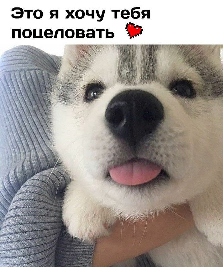 Это я хочу тебя поцеловать 57