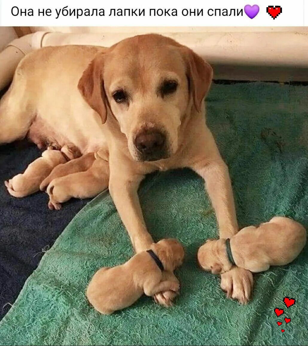 Она не убирала папки пока они спали