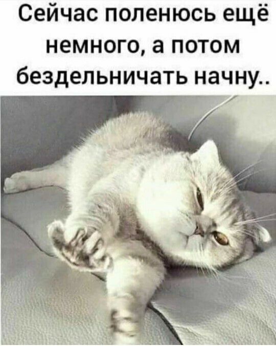 Сейчас поленюсь ещё немного а потом бездельничать начну