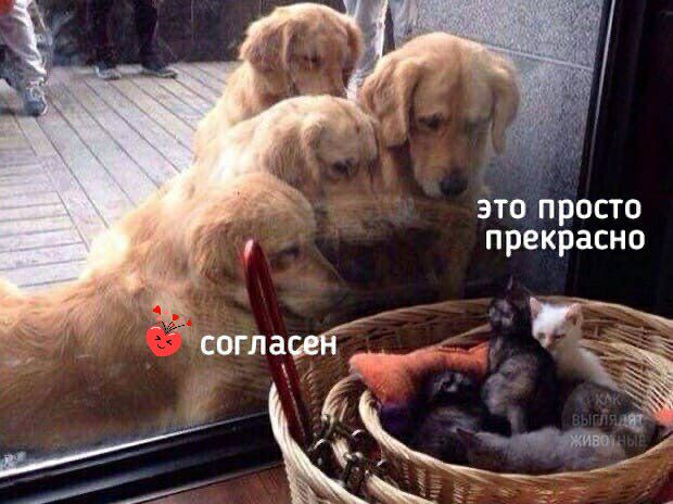 это просто прекрасно