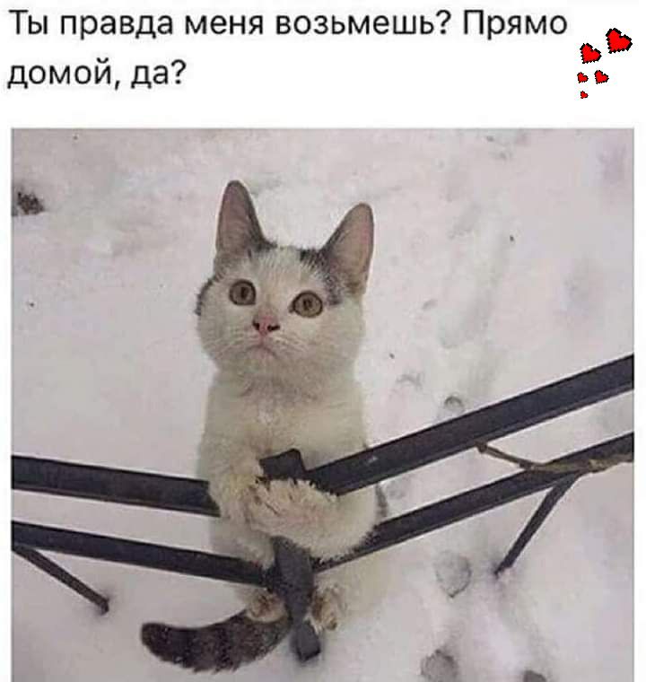 Ты правда меня возьмешь Прямо я домои да Ь