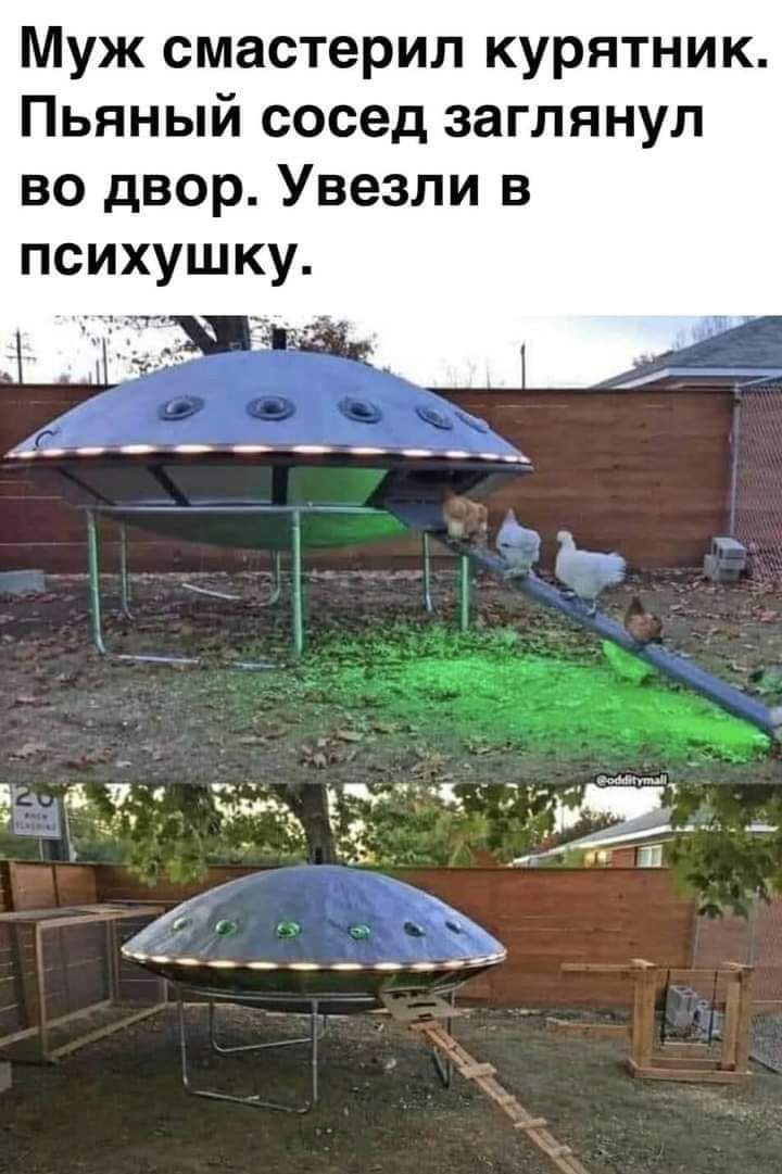 Муж смастерил курятник Пьяный сосед заглянул во двор Увезли в психушку 3 _ 1 ч 3 Ъ пп И _