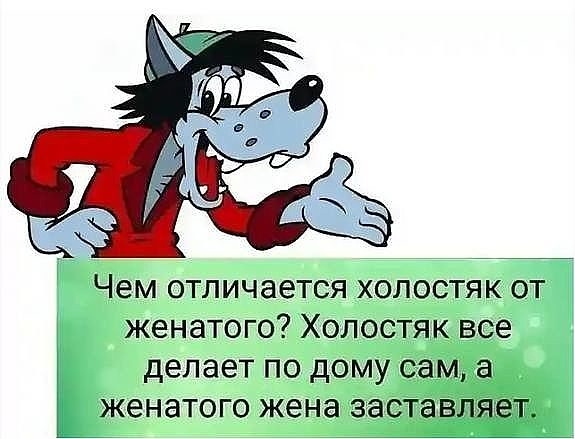 Чем отличается холостяк от женатого Холо делает по дом тженатого жеНа