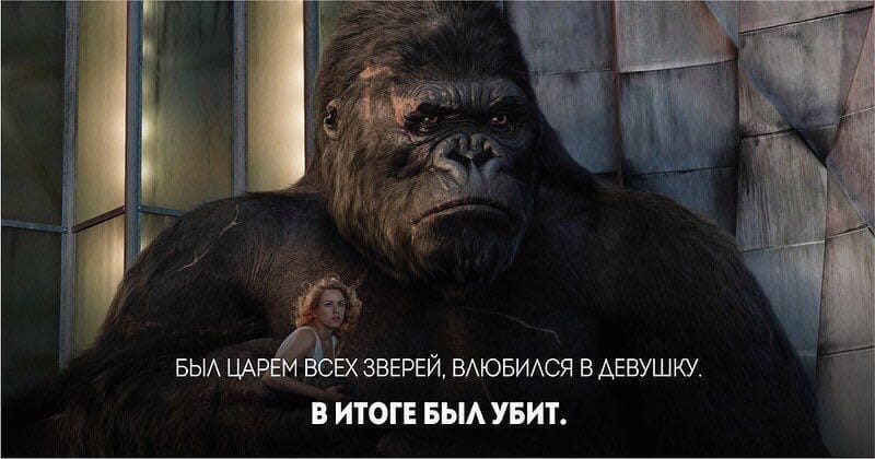 _ СЧЕХ ЗВЕРЕЙ ВАЮБИАСЯ В АЕВУШКУ В ИТОГЕ БЫА УБИТ