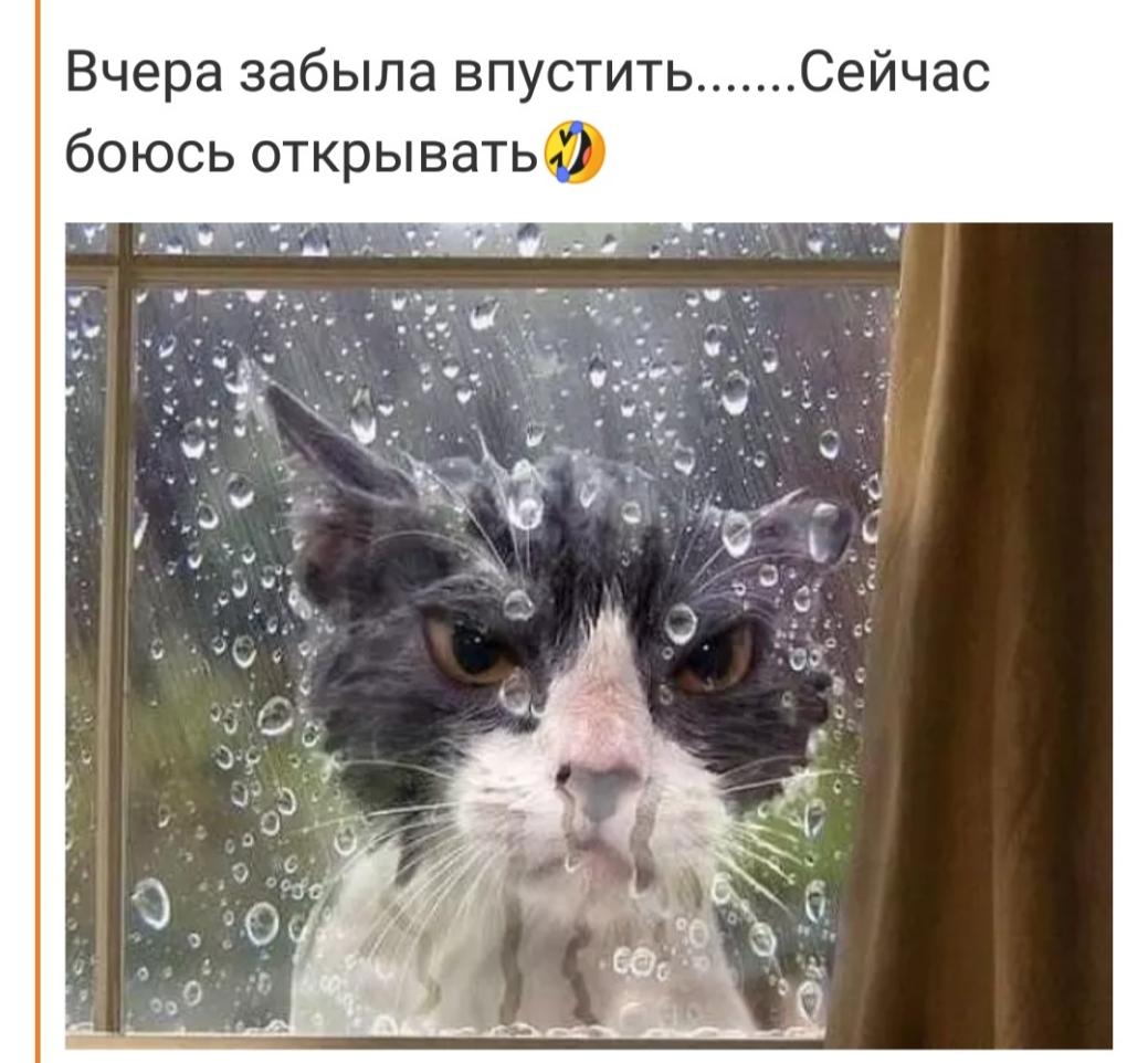 Вчера забыла впустить Сейчас боюсь открыватьФ