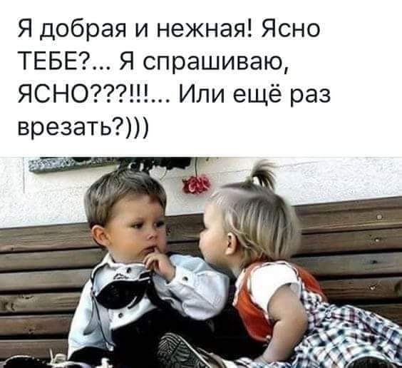 Я добрая и нежная Ясно ТЕБЕ Я спрашиваю ЯСНО Или ещё раз врезать