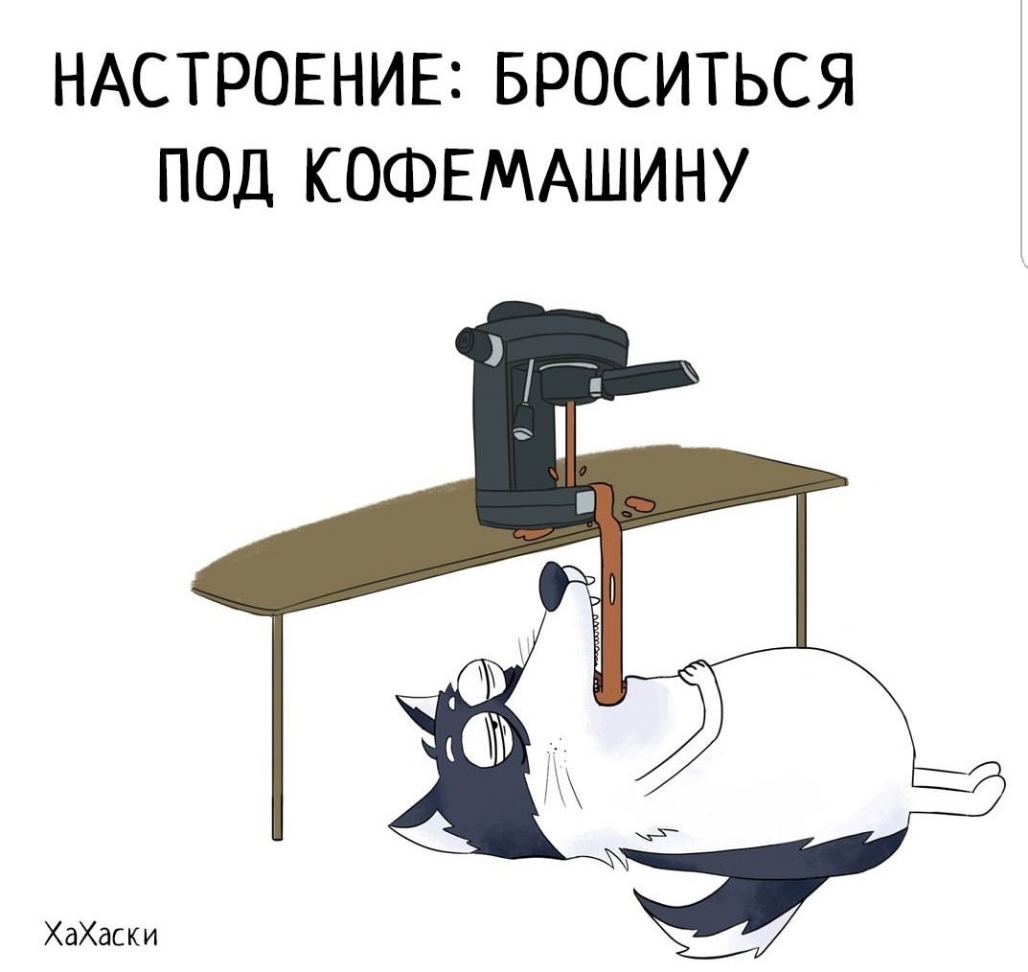 НАСТРОЕНИЕ БРОСИТЬСЯ ПОД КОФЕМАШИНУ ХаХаски