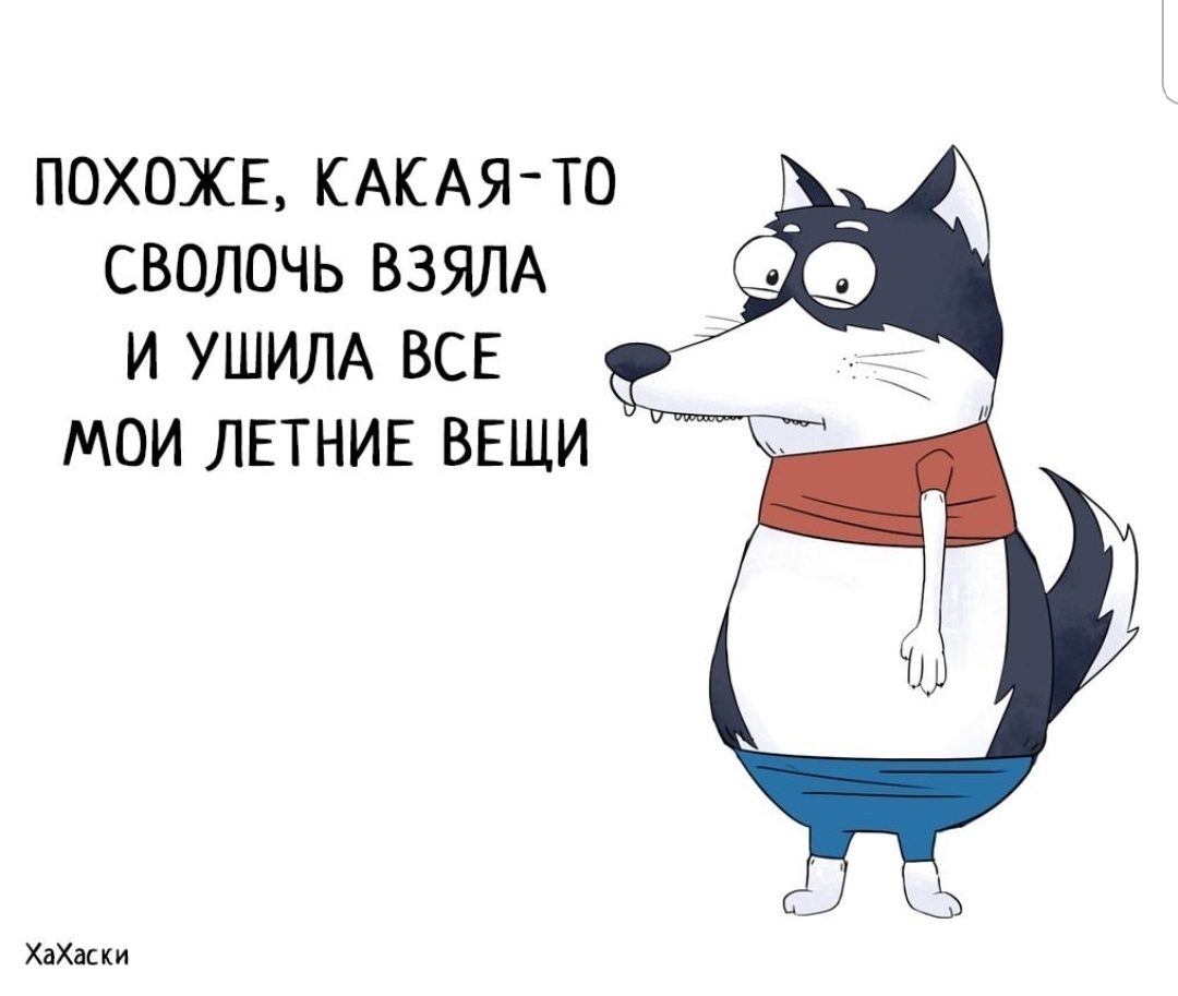 похохв КАКАЯ ТО сволочь ВЗЯЛА и УШИЛА ВСЕ мои ЛЕТНИЕ ВЕЩИ ХаХаски
