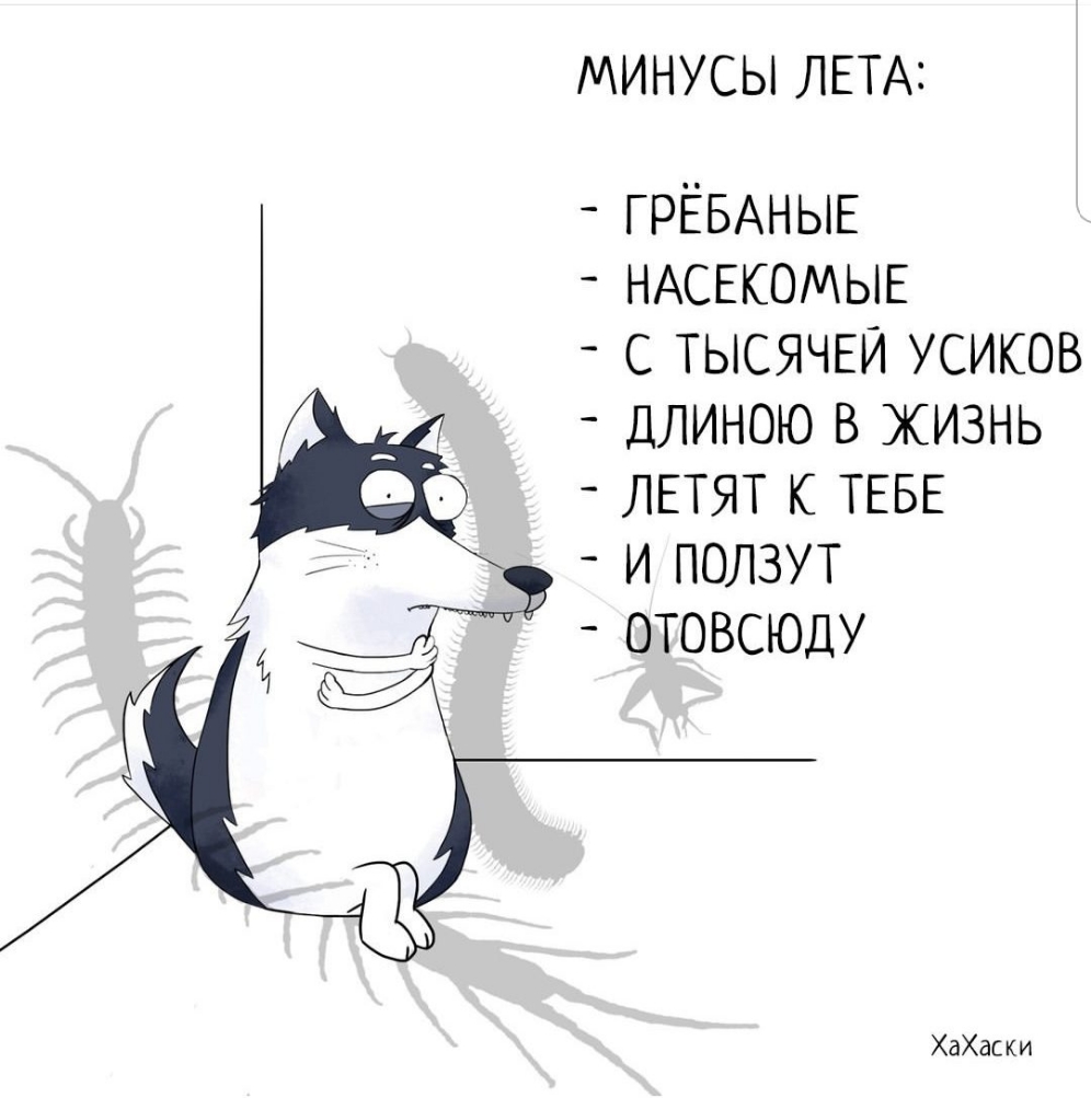 МИНУСЫ ЛЕТА ГРЁБАНЫЕ НАСЕКОМЫЕ с ТЫСЯЧЕИ усиков длиною в жизнь ЛЕТЯТ к ТЕБЕ и ползут отовсюду ХаХаски