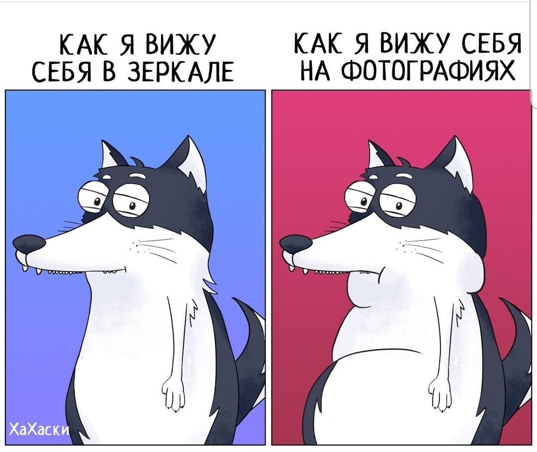 КАК Я ВИЖУ КАК Я ВИЖУ СЕБЯ СЕБЯ В ЗЕРКАЛЕ НА ФОТОГРАФИЯХ