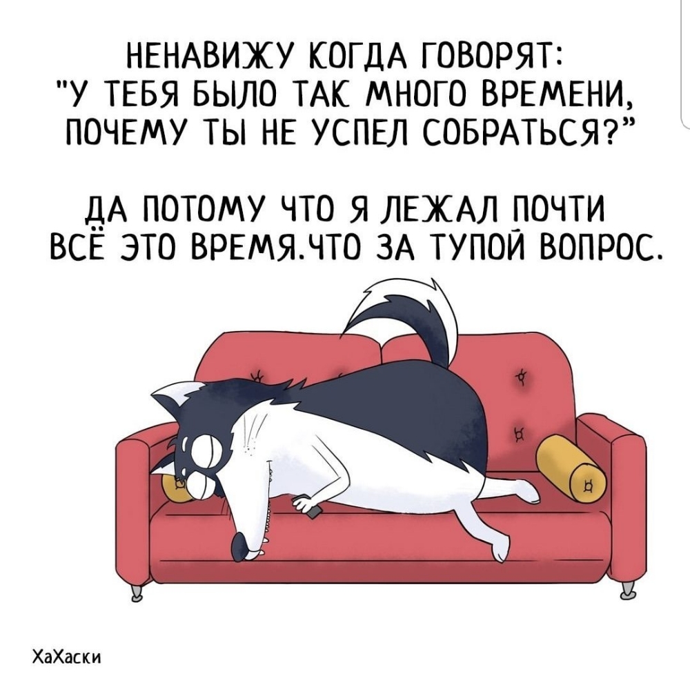 НЕНАВИЖУ КОГДА ГОВОРЯТ У ТЕБЯ БЫЛО ТАК МНОГО ВРЕМЕНИ ПОЧЕМУ ТЫ НЕ УСПЕЛ СОБРАТЬСЯ ДА ПОТОМУ ЧТО Я ЛЕХАЛ _ПОЧТИ ВСЕ ЭТО ВРЕМЯЧТО ЗА ТУПОИ ВОПРОС ХаХаски