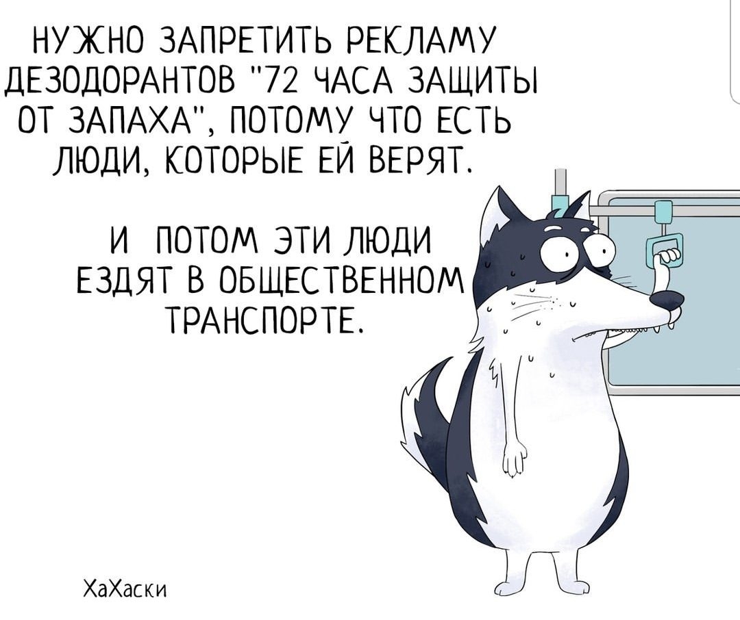 НУЖНО ЗАПРЕТИТЬ РЕКЛАМУ ДЕЗОДОРАНТОВ 72 ЧАСА ЗАЩИТЫ ОТ ЗАПАХА ПОТОМУ ЧТО ЕСТЬ ЛЮДИ КОТОРЫЕ ЕИ ВЕРЯТ И ПОТОМ ЭТИ ЛЮДИ ЕЗДЯТ В ОБЩЕСТВЕННОМ ТРАНСПОРТЕ ХаХаски