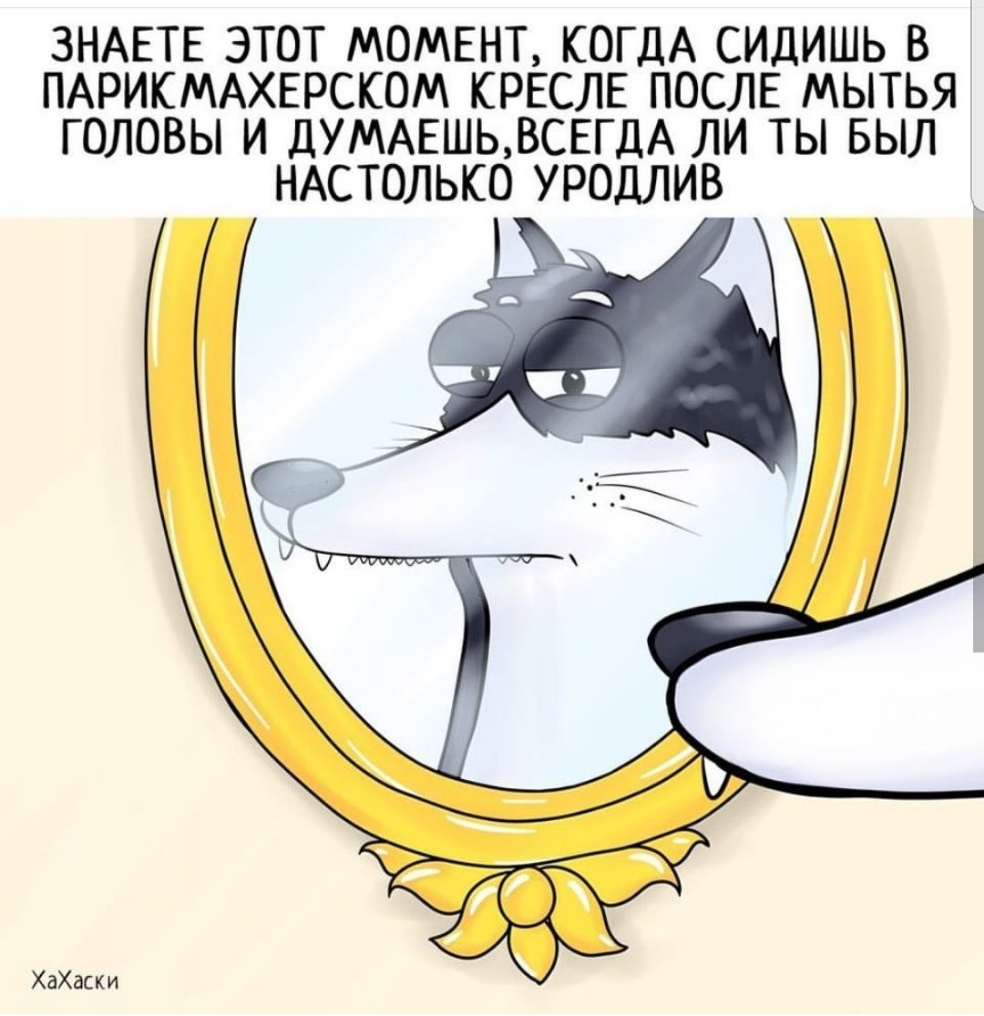 ЗНАЕТЕ ЭТОТ МОМЕНТ КОГДА СИДИШЬ В ПАРИКМАХЕРСКОМ КРЕСЛЕ ПОСЛЕ МЫТЬЯ ГОЛОВЫ И ДУМАЕШЬВСЕГДА ЛИ ТЫ БЫЛ НАСТОЛЬКО УРОДЛИВ ХаХаски