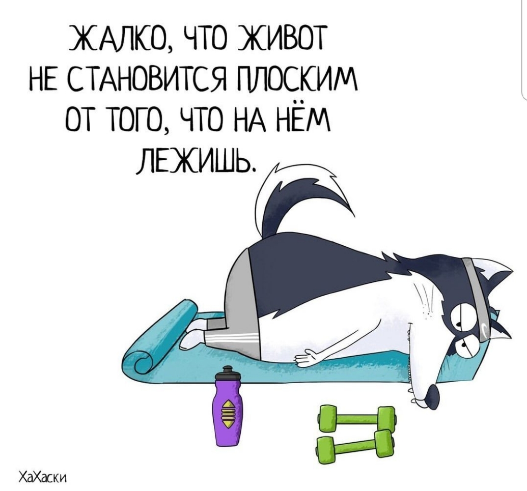 ЖАЛКО что живот НЕ СТАНОВИТСЯ плоским от того что НА НЁМ ЛЕХИШЬ ХдХаски