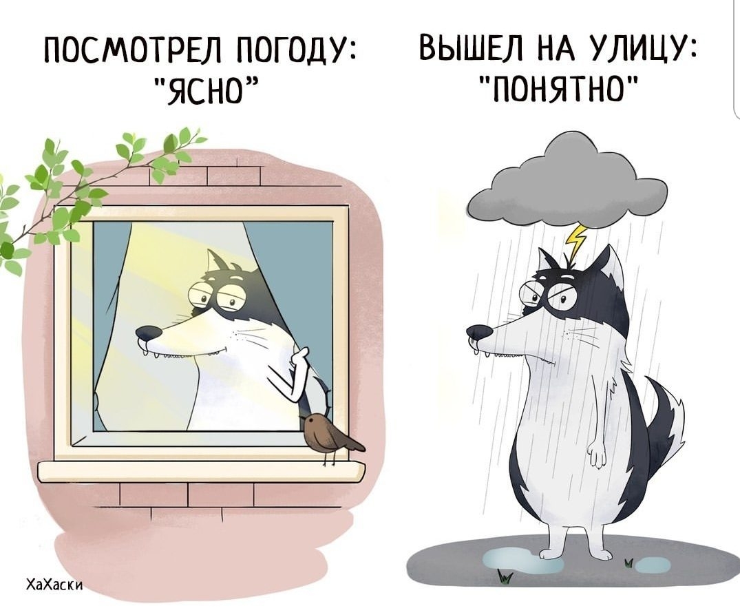 ПОСМОТРЕЛ ПОГОДУ ВЫШЕЛ НА УЛИЦУ ЯСН0 ПОНЯТНО