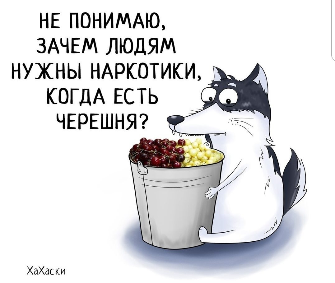 НЕ пониммц ЗАЧЕМ людям нужны НАРКОТИКИ КОГДА ЕСТЬ в ЧЕРЕШНЯ ХаХас ки