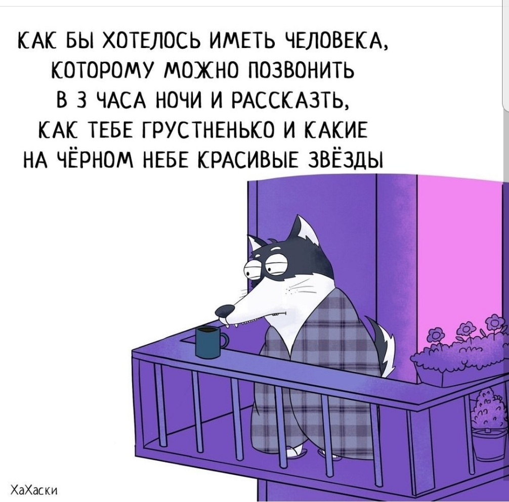 КАК вы ХОТЕЛОСЬ ИМЕТЬ ЧЕЛОВЕКА которому можно позвонить в 3 ЧАСА ночи И РАССКАЗТЬ КАК ТЕБЕ ГРУСТНЕНЬКО И КАКИЕ НА чёрном НЕБЕ КРАСИВЫЕ звёзды ХаХаски
