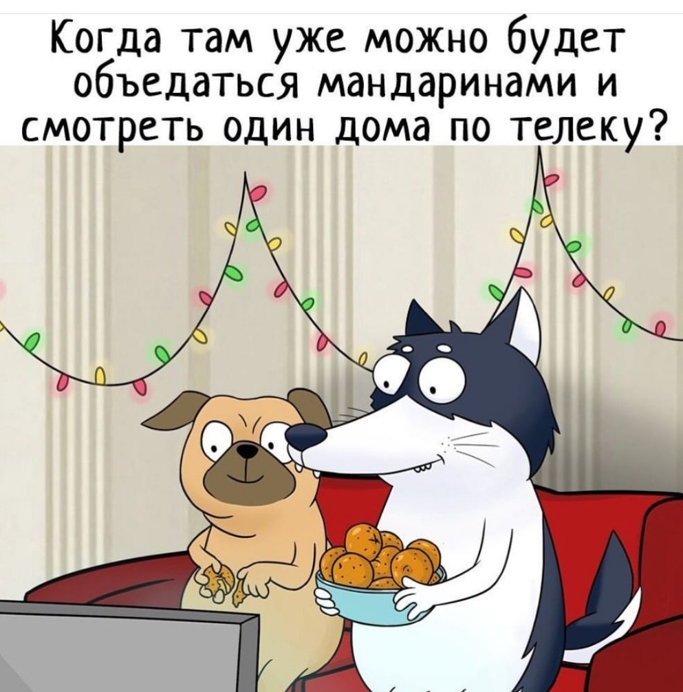 Когда там уже можно будет объедаться мандаринами и смотреть один дома по телеку