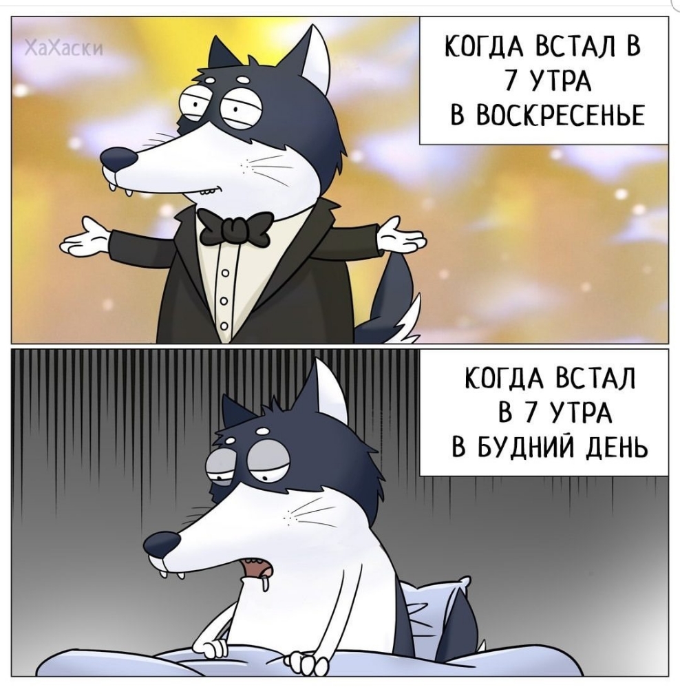КОГДА ВСТАЛ В 7 УТРА В ВОСКРЕСЕНЬЕ КОГДА ВСТАЛ В 7 УТРА В БУДНИЙ ДЕНЬ