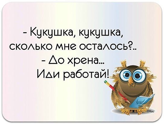 Кукушка кукушка СКОЬКО мне остаось Ао хрена ИАИ работай