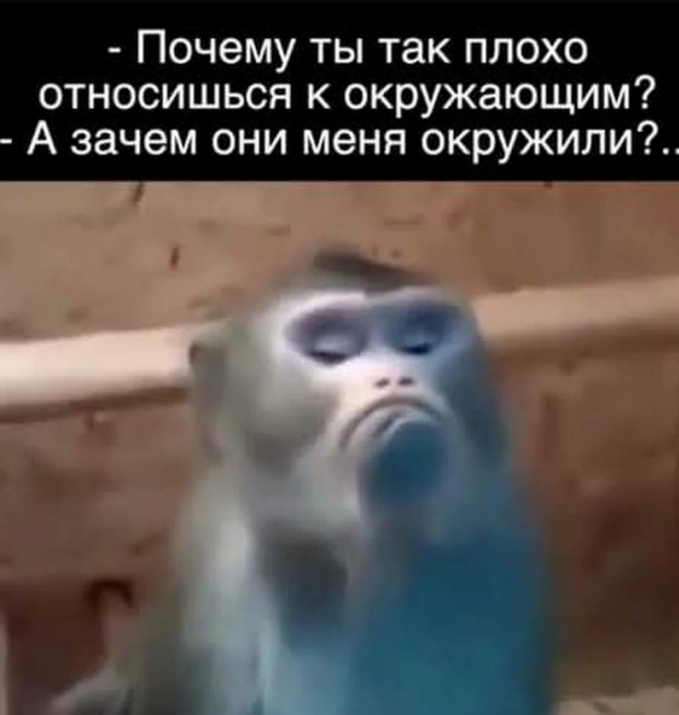 Почему ты так плохо относишься к окружающим А зачем они меня окружили