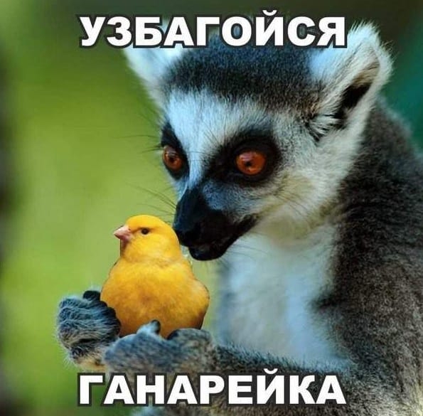 УЗБАПФЙСЯ