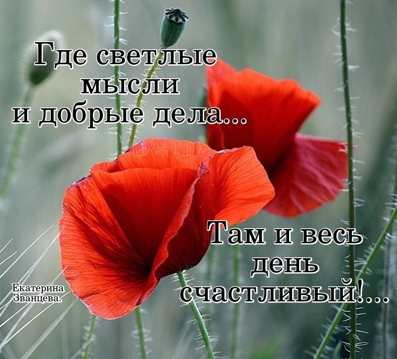 Гаи Ми _ 3 адсэзвщ 2 1