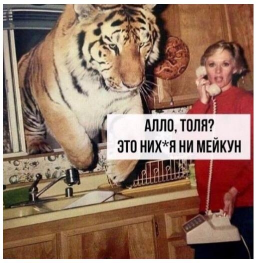 Аллотип __ это нихя ни мвйкун