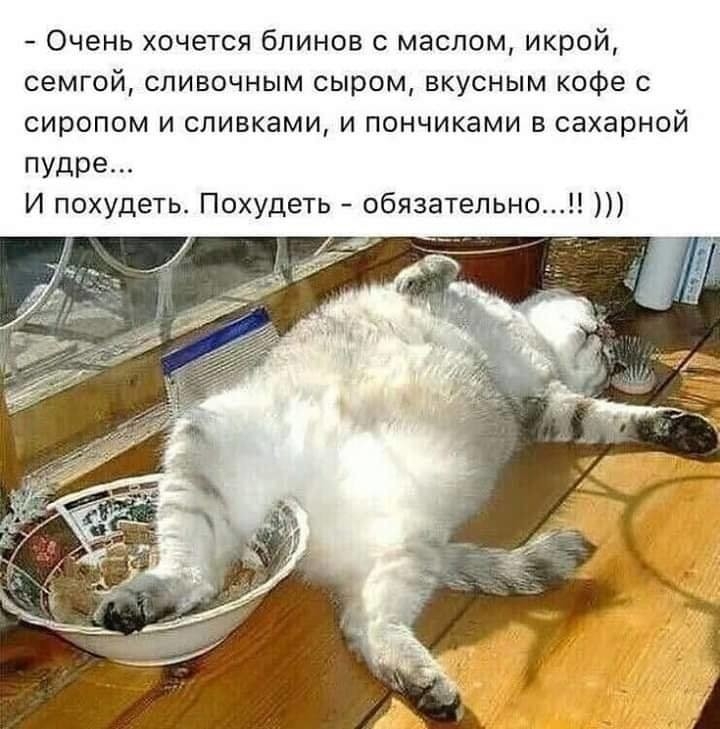 Очень хочется блинов с маслом икрой семгой сливочным сыром вкусным кофе с сиропом и сливками и пончиками в сахарной пудре И похудеть Похудеть обязательноН