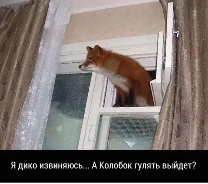 Я дико извиняюсь А Колобок гулять выйдет