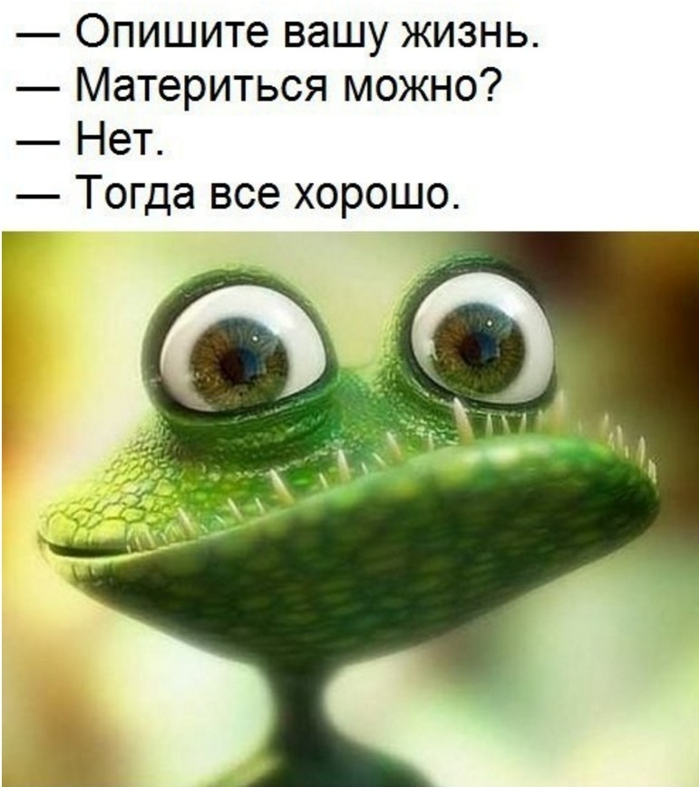 Опишите вашу жизнь Материться можно Нет Тогда все хорошо