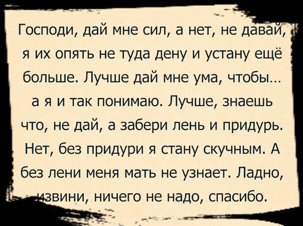 Господи дай мне сил а нет не даваи я их опять не туда дену и устану ещё больше Лучше дай мне ума чтобы а я и так понимаю Лучше знаешь что не дай а забери лень и придурь Нет без придури я стану скучным А без пени меня мать не узнает Ладно вини ничего не надо спасибо