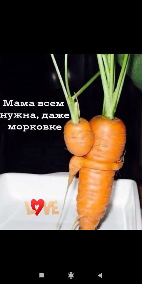 Мама всем нужна даже морковке
