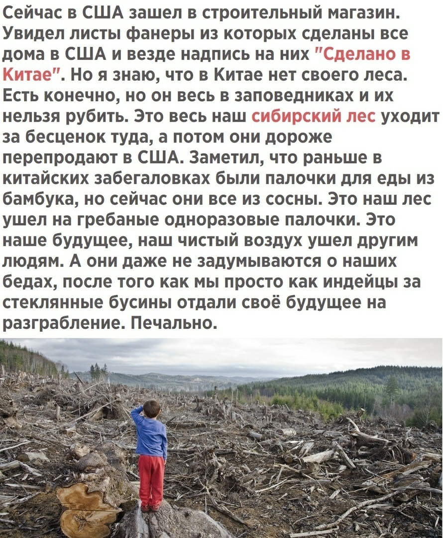 Сейчас в США зашел в строительный магазин Увидел листы фанеры из которых сделаны все дома в США и везде надпись на них 7 Но я знаю что в Китае нет своего леса Есть конечно но он весь в заповедниках и их нельзя рубить Это весь наш г уходит за бесценок туда а потом они дороже перепродают в США Заметил что раньше в китайских забегаловках были палочки для еды из бамбука но сейчас они все из сосны Это 
