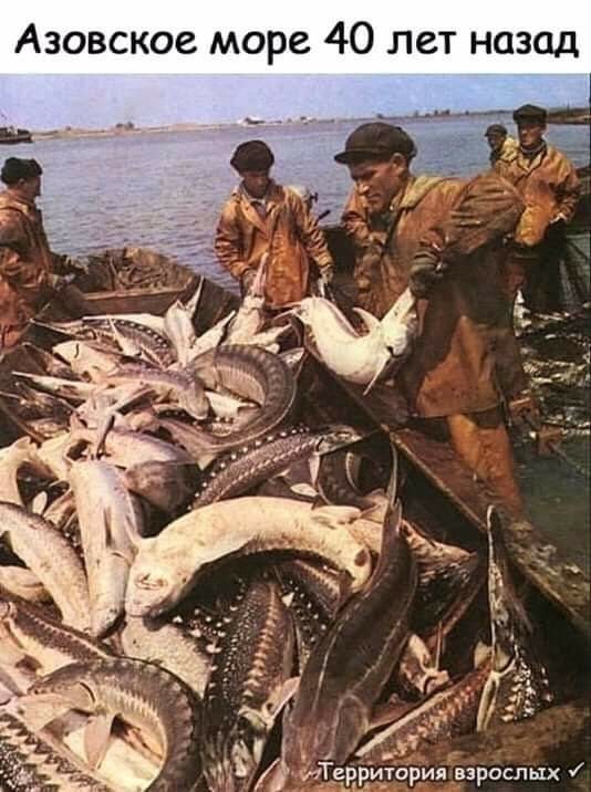 О Н Т е л О 4 С р 0 м С О К С В О 3 А