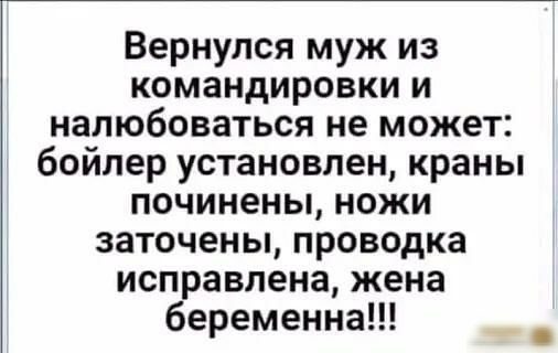 Вернулся муж из командировки и налюбоваться не может бойлер установлен краны починены ножи заточены проводка исправлена жена беременна