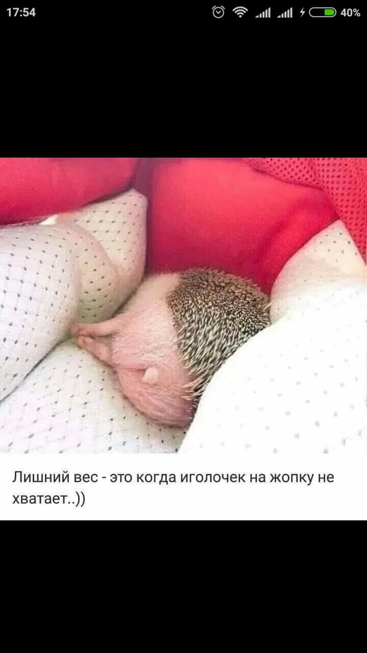 1754 3 и и С4о Лишний вес это когда иг почек на жопку не хватает