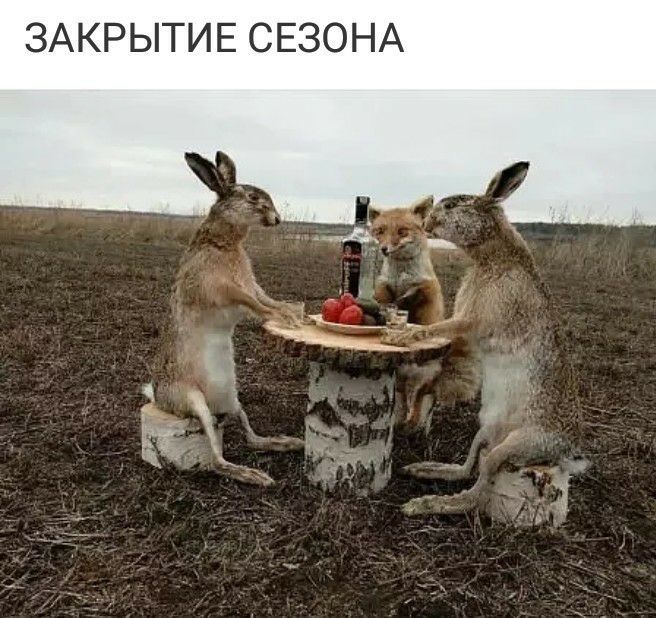 ЗАКРЫТИЕ СЕЗОНА