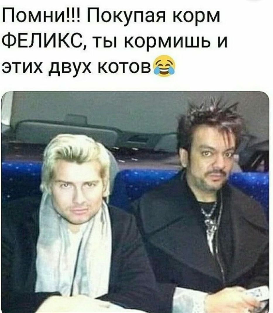 Помни Покупая корм ФЕЛИКС ты кормишь и этих двух котовё