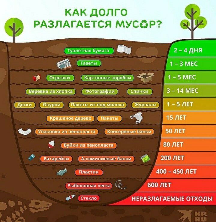 КАК ДОЛ ГО РАЗЛАГАЕТСЯ МУСЁР мы а _ 2 4 дня 1 3 мнс оч Каронные арпбки 1 5 мес да по Фптпграфии сп 3 _ 14 мкс д Окурки Пакет из под мпптка Журналы 1 5 ЛЕТ Крищенов дерево та О 15 пгт м в а рщыеаши _ 50 лет _ Буи из 30 лет Батарейки Алюминиевые 200 ЛЕТ ш 400 450 ЛЕТ Рыболавнвяпескн 600 лет Спит НЕРАЗЛАГАЕМЫЕ ОТХОДЫ